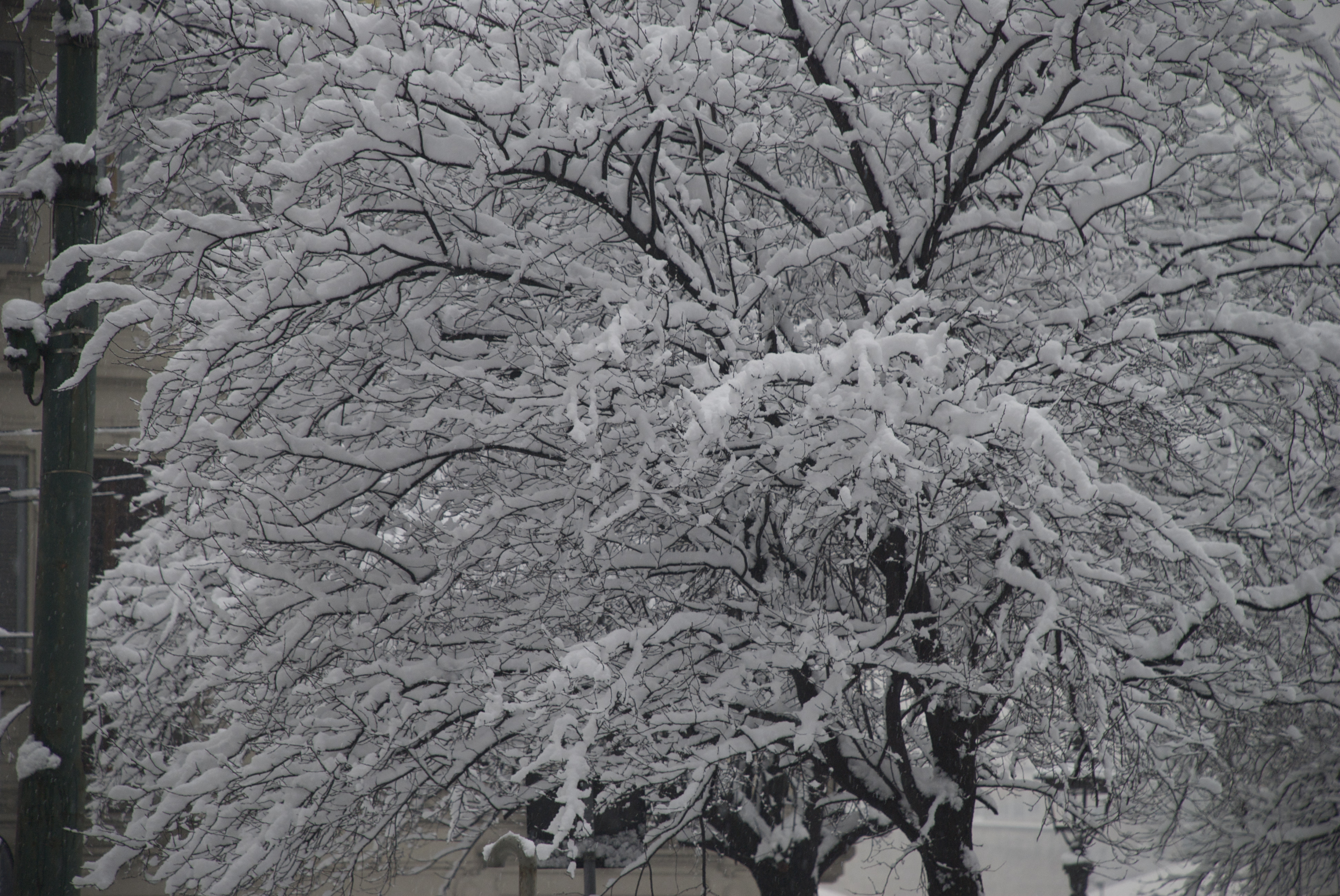 Neve a Milano